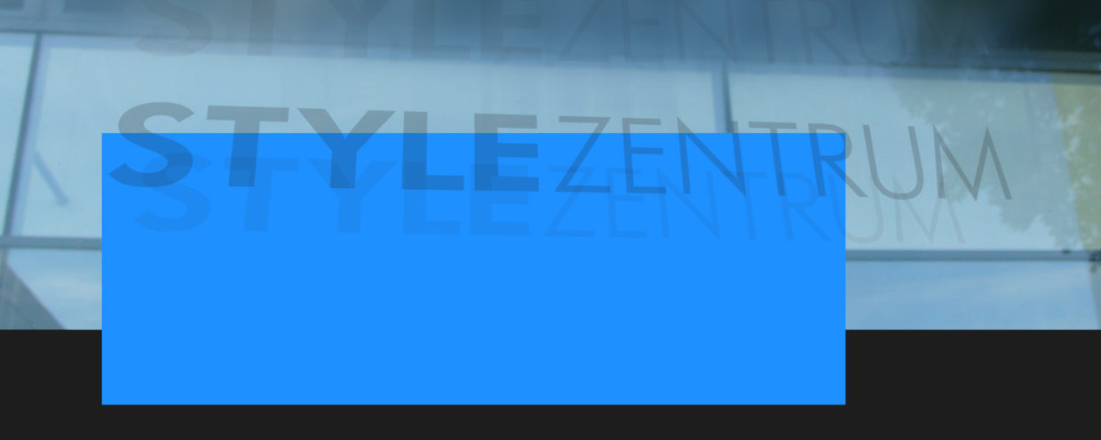 Digitale Medien STZ Agentur Internetagentur Werbeagentur Reutlingen
